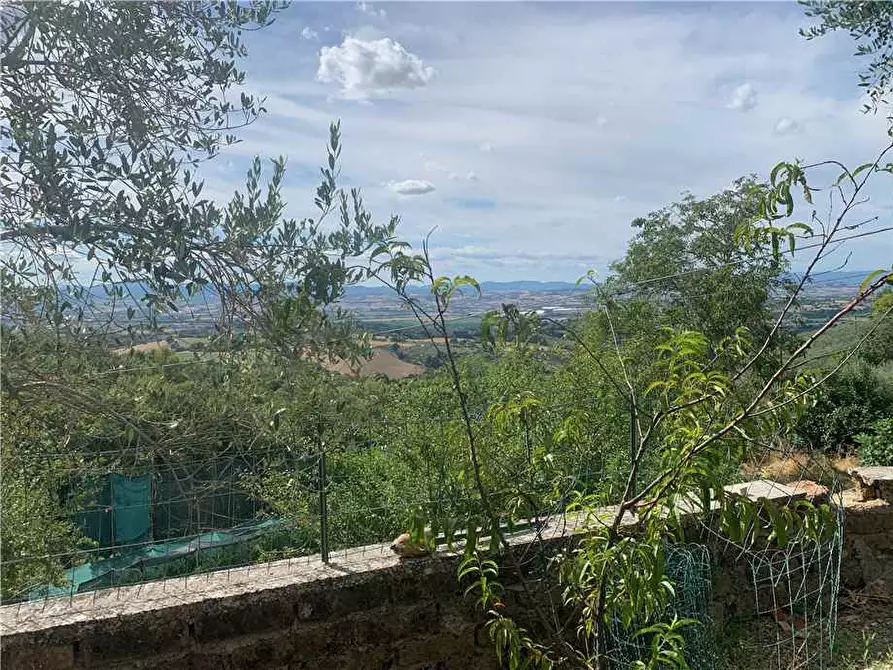 Immagine 12 di Villa in vendita  in Via STRADA DI SAN GIOVANNI, 68 a Collazzone