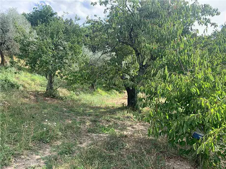 Immagine 32 di Villa in vendita  in Via STRADA DI SAN GIOVANNI, 68 a Collazzone
