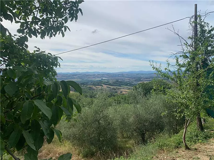 Immagine 33 di Villa in vendita  in Via STRADA DI SAN GIOVANNI, 68 a Collazzone