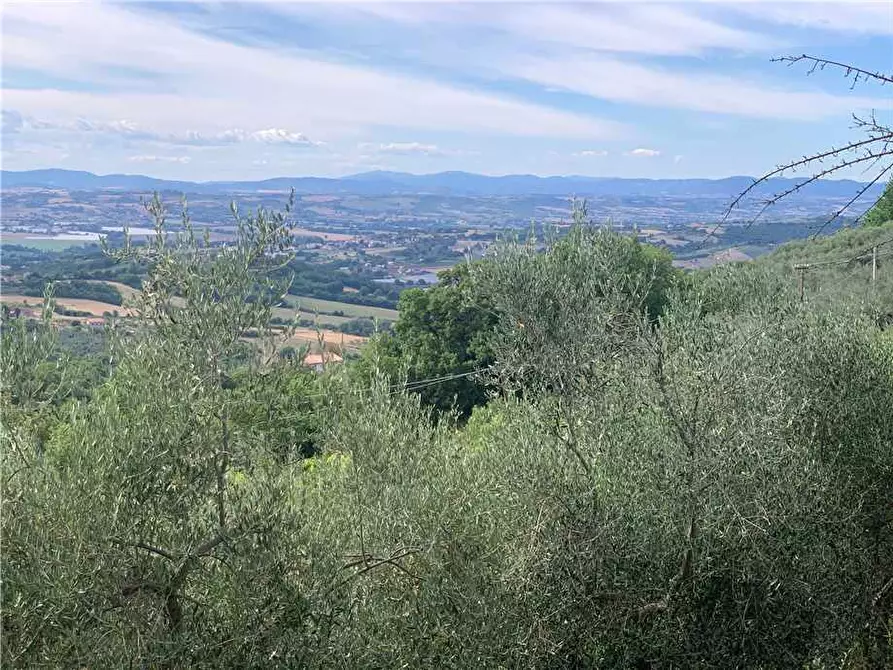 Immagine 34 di Villa in vendita  in Via STRADA DI SAN GIOVANNI, 68 a Collazzone