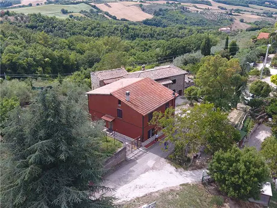 Immagine 5 di Villa in vendita  in Via STRADA DI SAN GIOVANNI, 68 a Collazzone