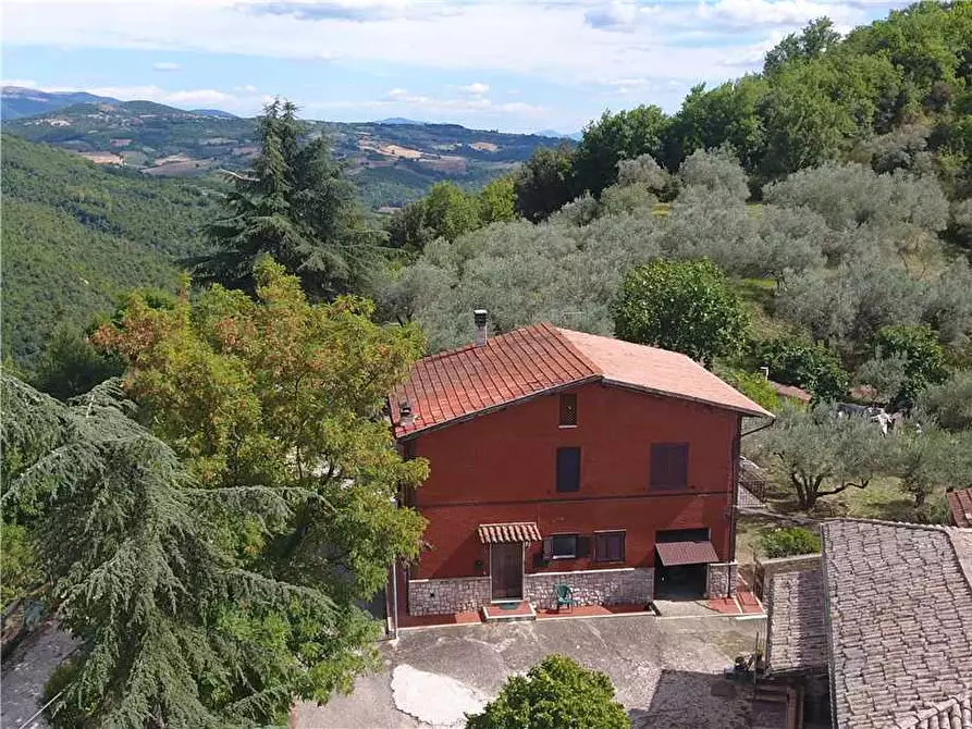 Immagine 6 di Villa in vendita  in Via STRADA DI SAN GIOVANNI, 68 a Collazzone