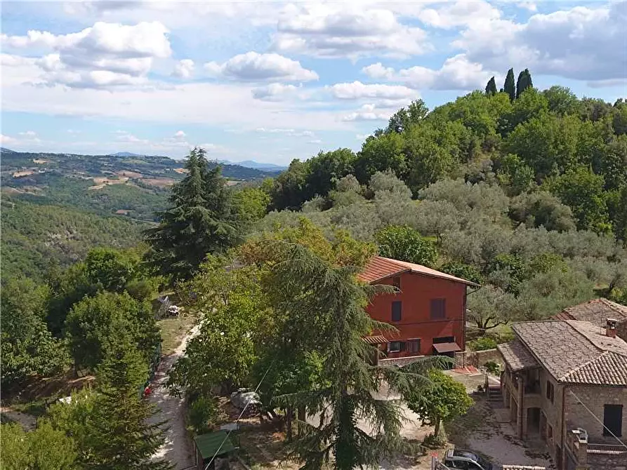 Immagine 8 di Villa in vendita  in Via STRADA DI SAN GIOVANNI, 68 a Collazzone