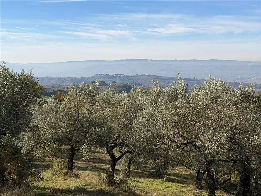 Immagine 13 di Villa in vendita  in Via Colle Fabbro, 17 a Collazzone