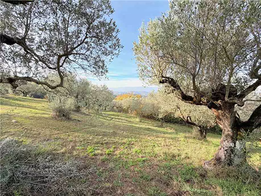 Immagine 15 di Villa in vendita  in Via Colle Fabbro, 17 a Collazzone