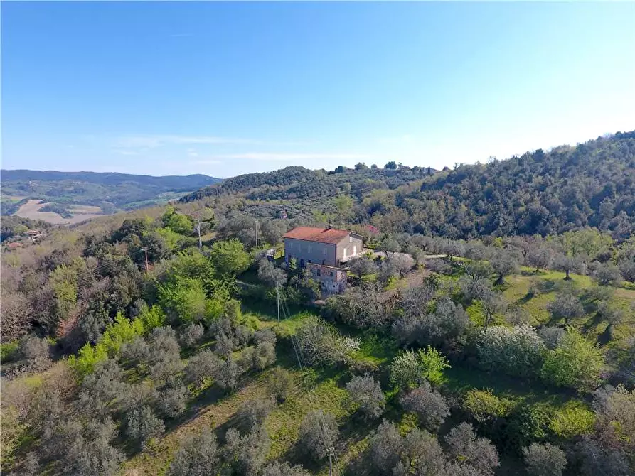 Immagine 3 di Villa in vendita  in Via Colle Fabbro, 17 a Collazzone