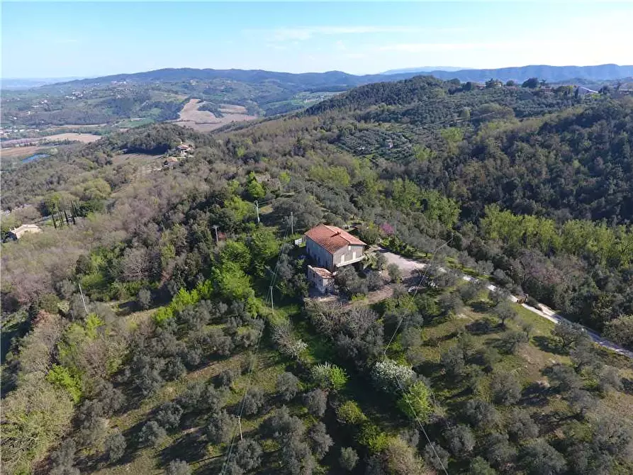 Immagine 5 di Villa in vendita  in Via Colle Fabbro, 17 a Collazzone