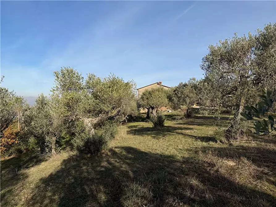 Immagine 6 di Villa in vendita  in Via Colle Fabbro, 17 a Collazzone