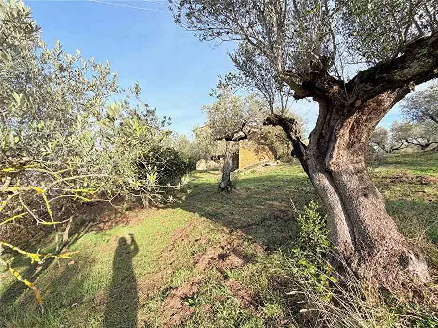 Immagine 7 di Villa in vendita  in Via Colle Fabbro, 17 a Collazzone