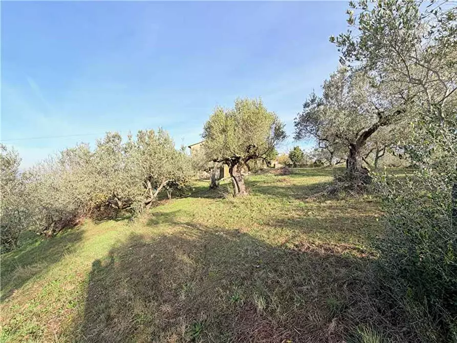 Immagine 8 di Villa in vendita  in Via Colle Fabbro, 17 a Collazzone