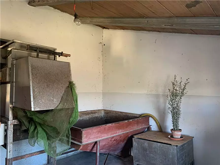 Immagine 28 di Casa bifamiliare in vendita  in Via Della Repubblica a Gualdo Cattaneo
