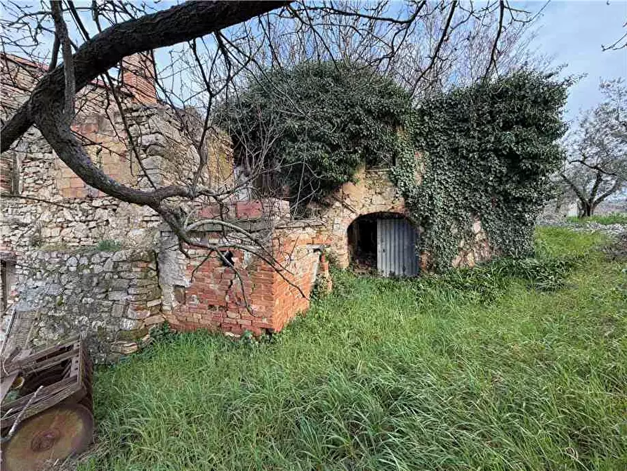 Immagine 8 di Rustico / casale in vendita  in Via Le Corone a Collazzone