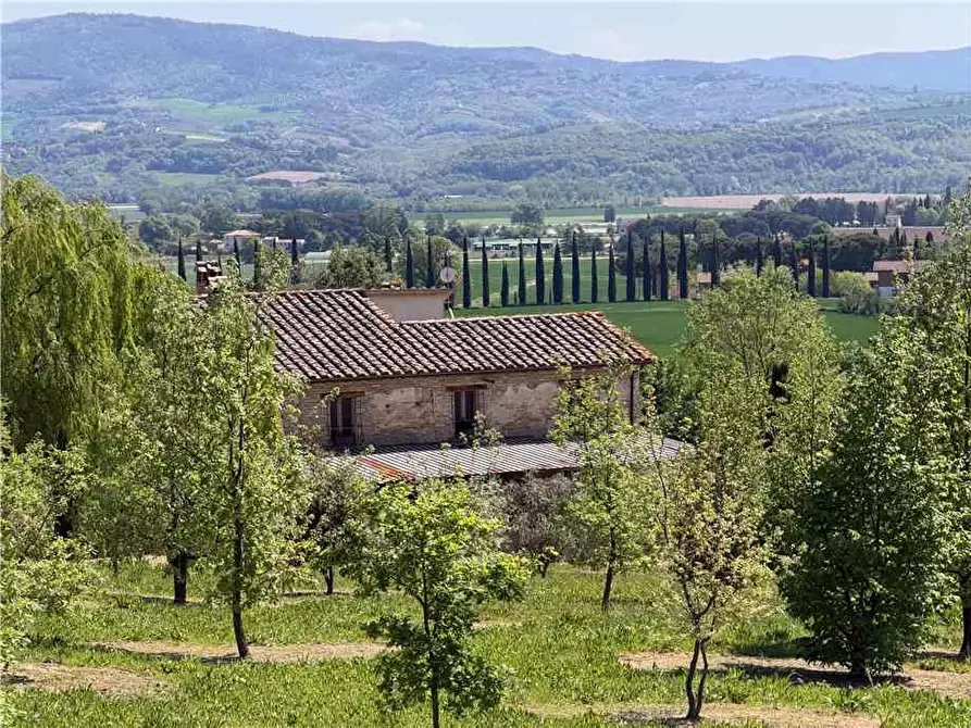 Immagine 3 di Rustico / casale in vendita  in Voc. Selva, 11 a Marsciano