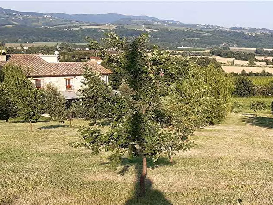 Immagine 5 di Rustico / casale in vendita  in Voc. Selva, 11 a Marsciano