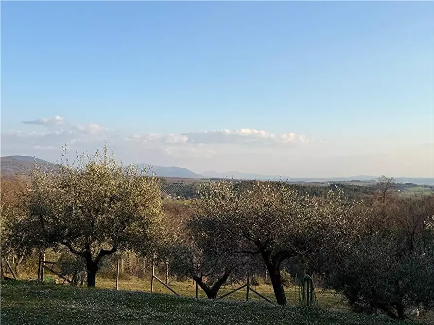 Immagine 18 di Villa in vendita  in Via SANTA MARIA a Gualdo Cattaneo