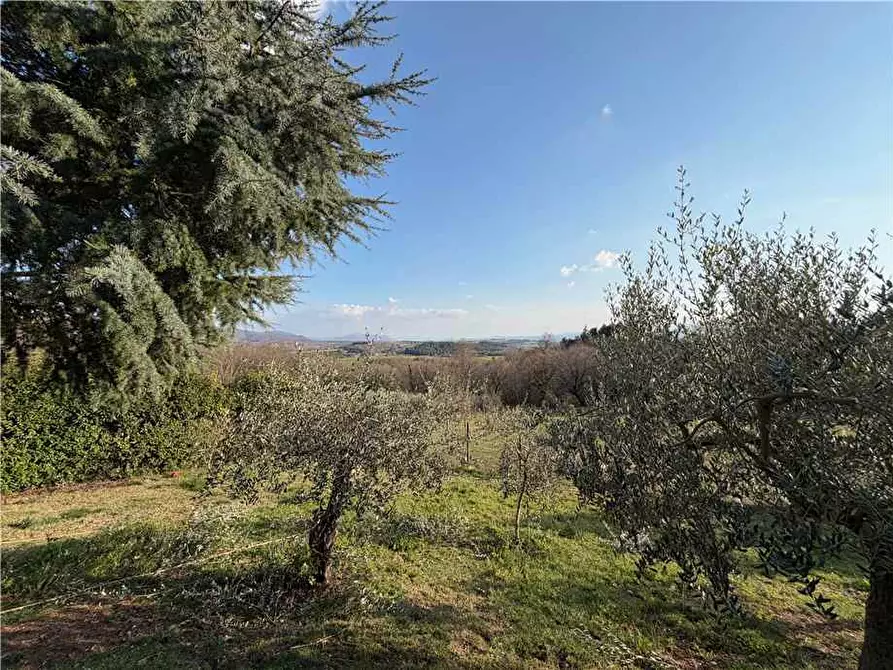 Immagine 22 di Villa in vendita  in Via SANTA MARIA a Gualdo Cattaneo