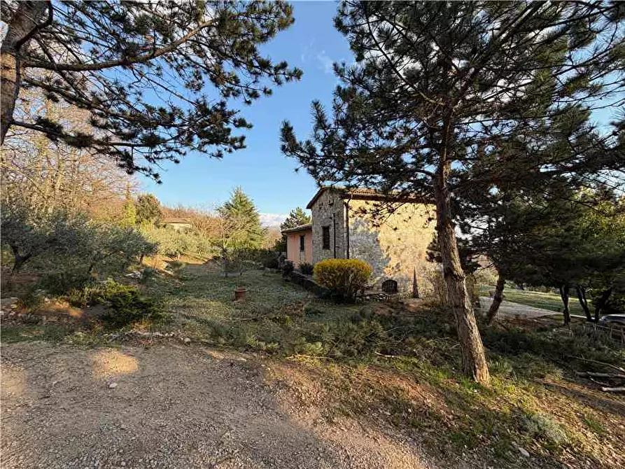 Immagine 4 di Villa in vendita  in Via SANTA MARIA a Gualdo Cattaneo