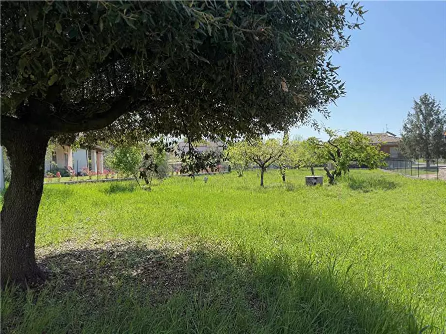 Immagine 23 di Villa in vendita  in Via Via Montegrappa, 22 a Gualdo Cattaneo