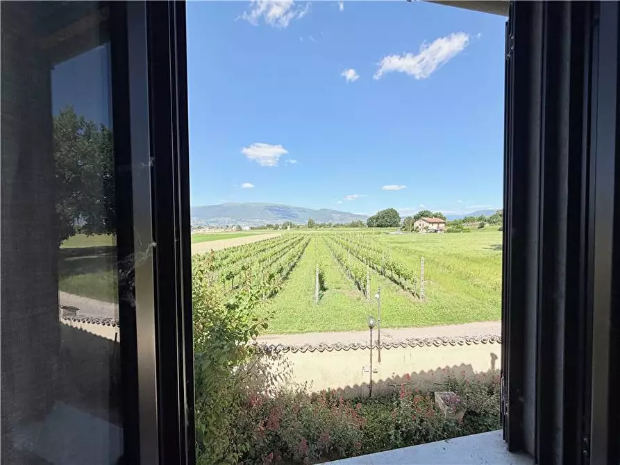 Immagine 31 di Villa in vendita  in Voc. Selvetta a Cannara