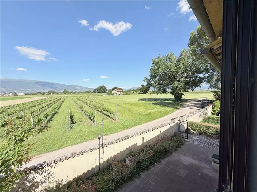 Immagine 33 di Villa in vendita  in Voc. Selvetta a Cannara