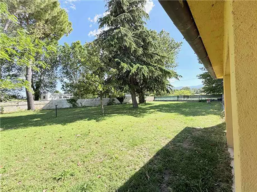 Immagine 34 di Villa in vendita  in Voc. Selvetta a Cannara