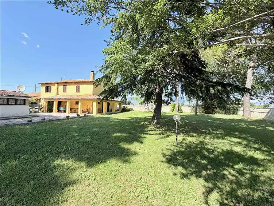 Immagine 5 di Villa in vendita  in Voc. Selvetta a Cannara
