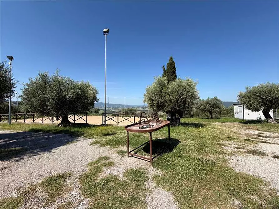 Immagine 33 di Appartamento in vendita  in Fraz. San Martino Dei Colli, 488 a Perugia