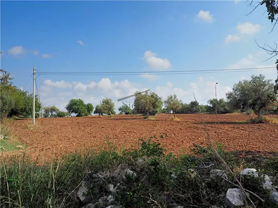 Immagine 2 di Terreno in vendita  a Scicli