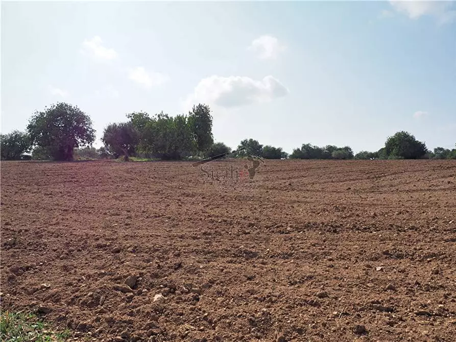 Immagine 4 di Terreno in vendita  a Scicli