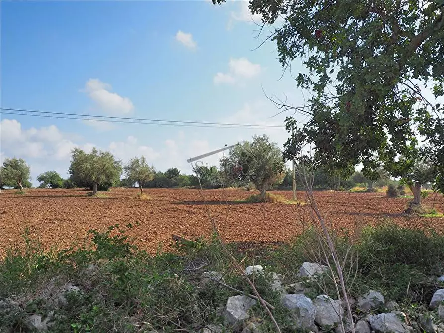 Immagine 3 di Terreno in vendita  a Scicli