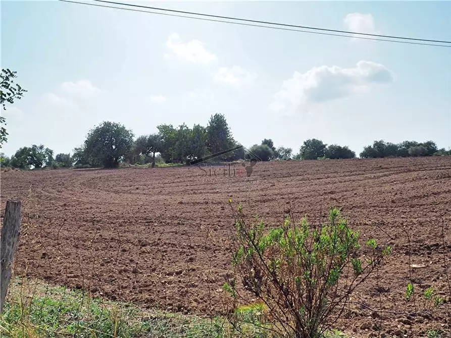 Immagine 4 di Terreno in vendita  a Scicli