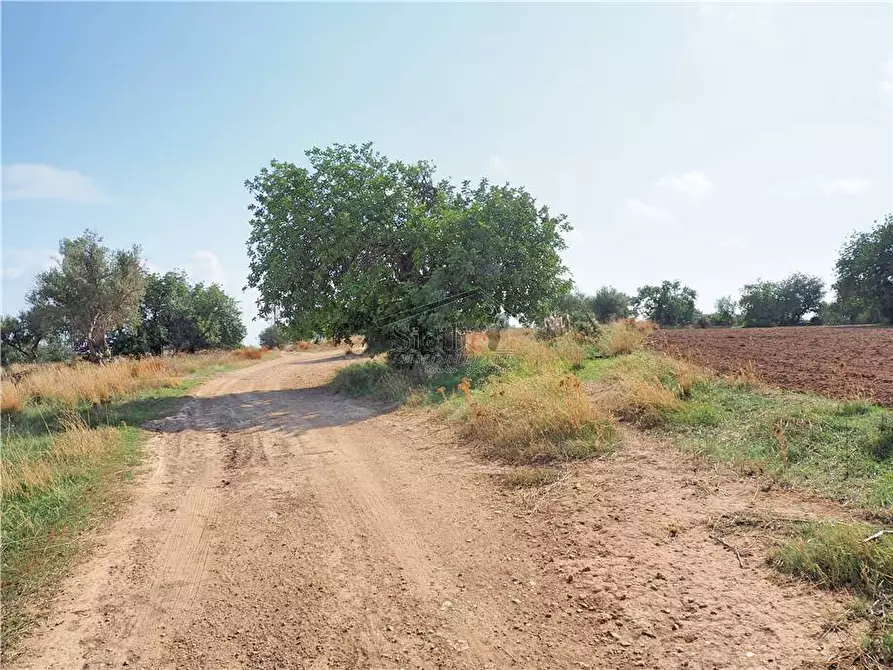 Immagine 5 di Terreno in vendita  a Scicli