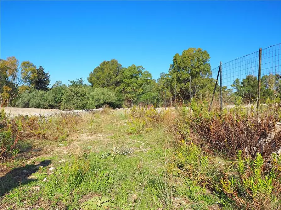 Immagine 2 di Terreno in vendita  a Scicli