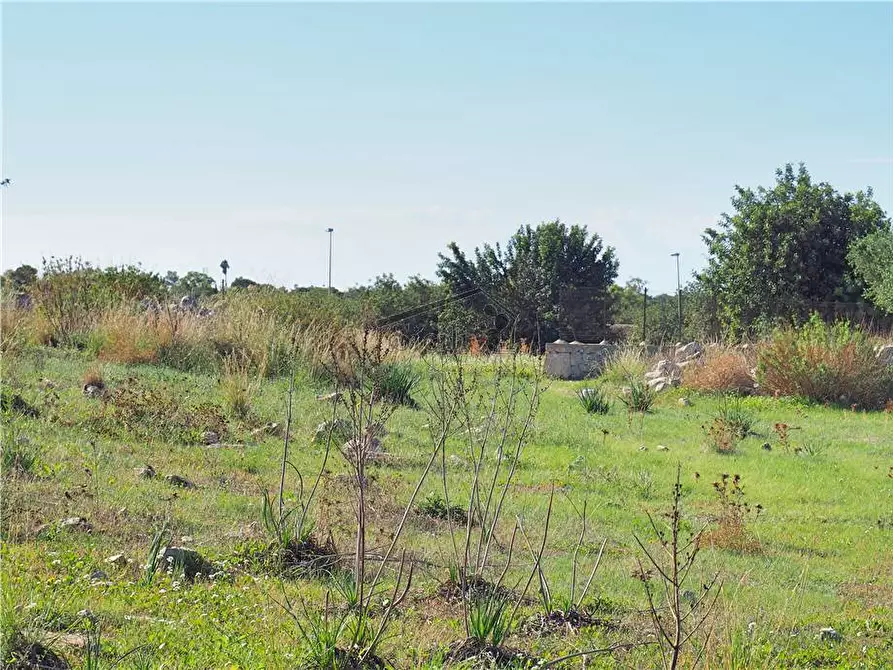 Immagine 3 di Terreno in vendita  a Scicli