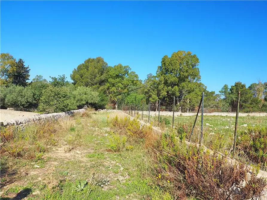 Immagine 5 di Terreno in vendita  a Scicli