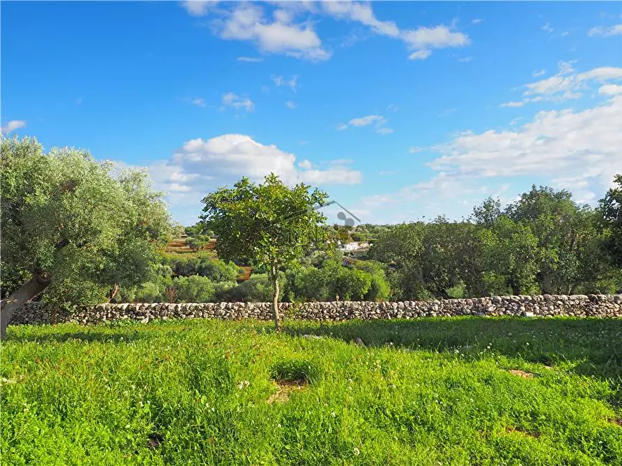 Immagine 11 di Rustico / casale in vendita  a Scicli