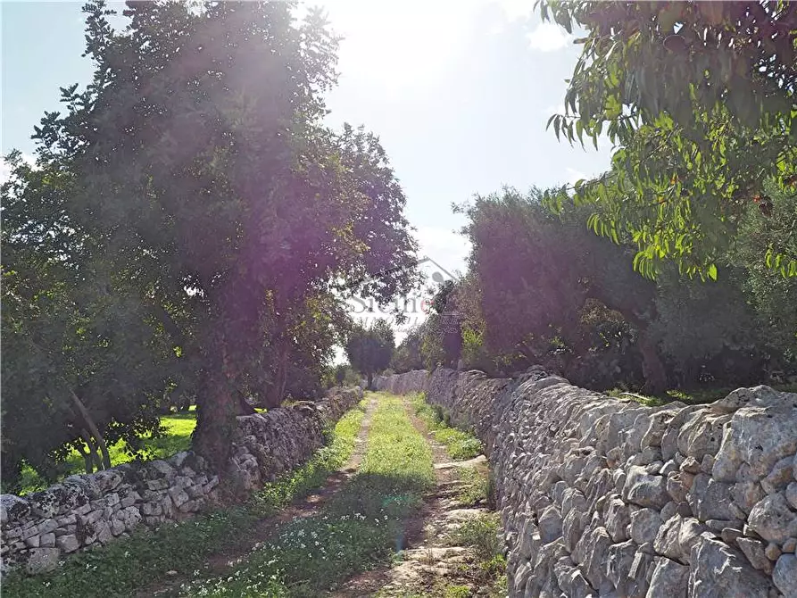 Immagine 12 di Rustico / casale in vendita  a Scicli