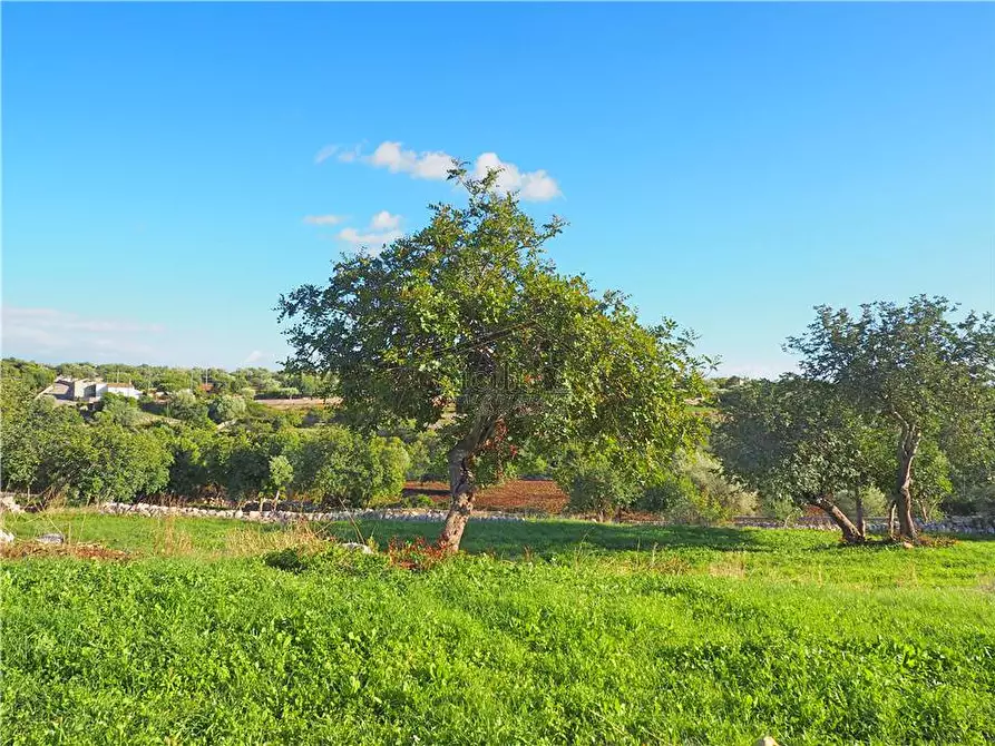 Immagine 13 di Rustico / casale in vendita  a Scicli