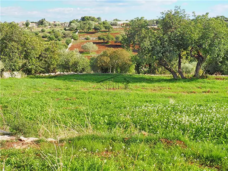 Immagine 14 di Rustico / casale in vendita  a Scicli