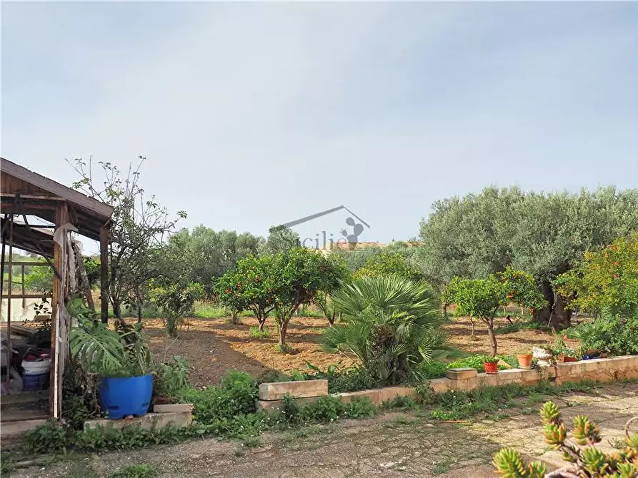 Immagine 4 di Villa in vendita  a Scicli