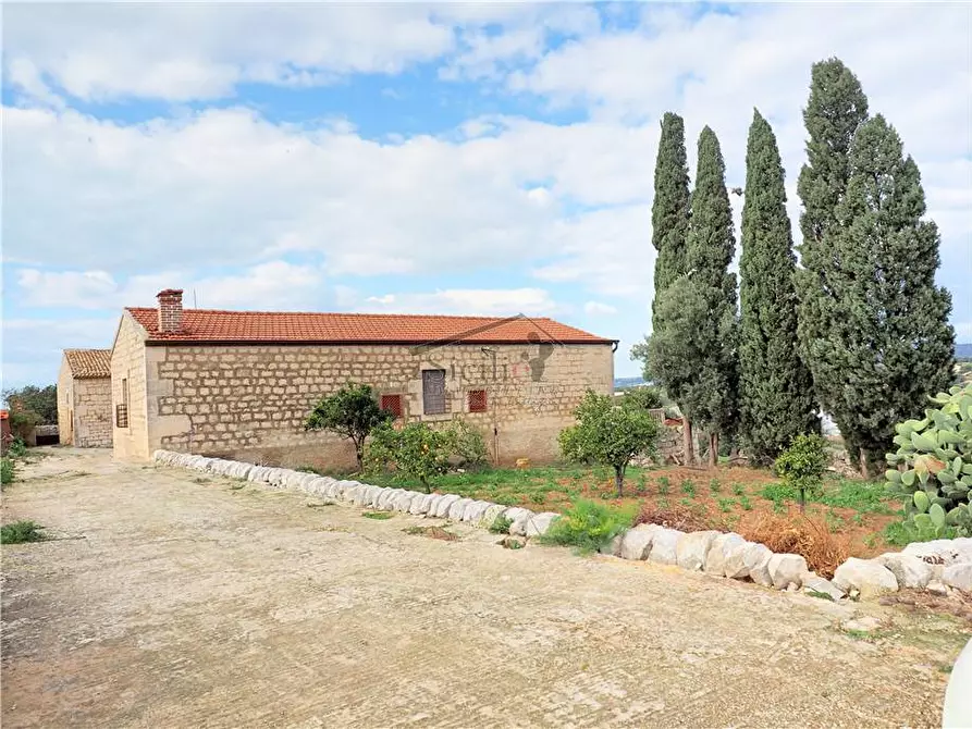 Immagine 3 di Villa in vendita  a Scicli