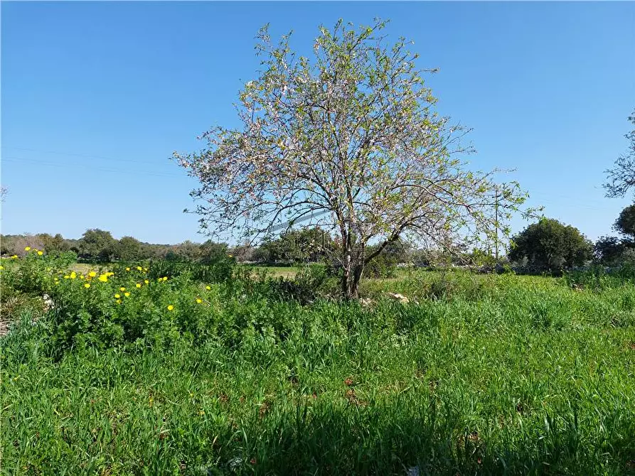 Immagine 10 di Terreno in vendita  a Scicli
