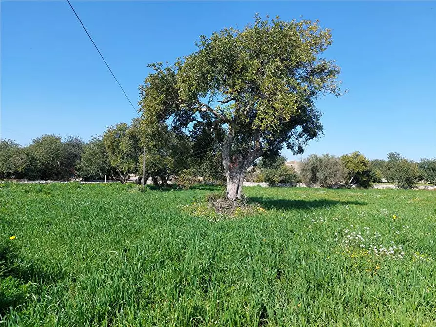 Immagine 2 di Terreno in vendita  a Scicli