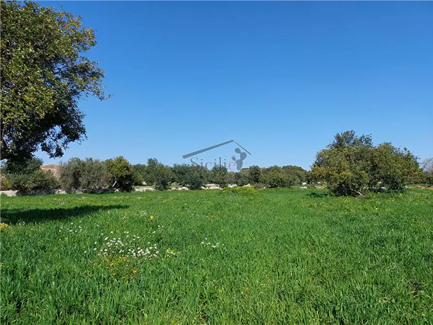 Immagine 3 di Terreno in vendita  a Scicli