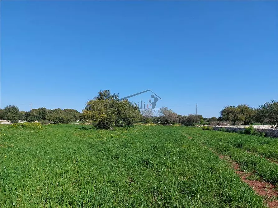 Immagine 4 di Terreno in vendita  a Scicli