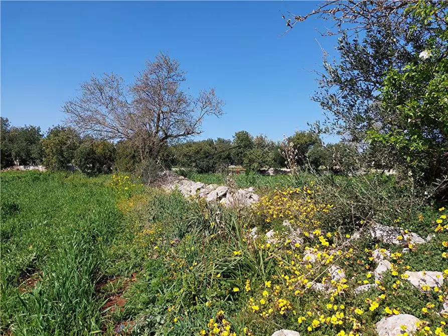 Immagine 5 di Terreno in vendita  a Scicli