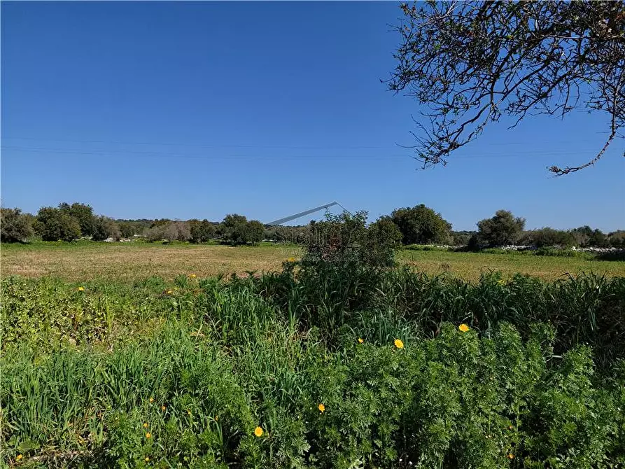 Immagine 8 di Terreno in vendita  a Scicli