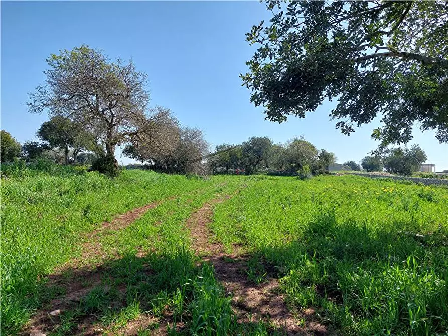 Immagine 9 di Terreno in vendita  a Scicli