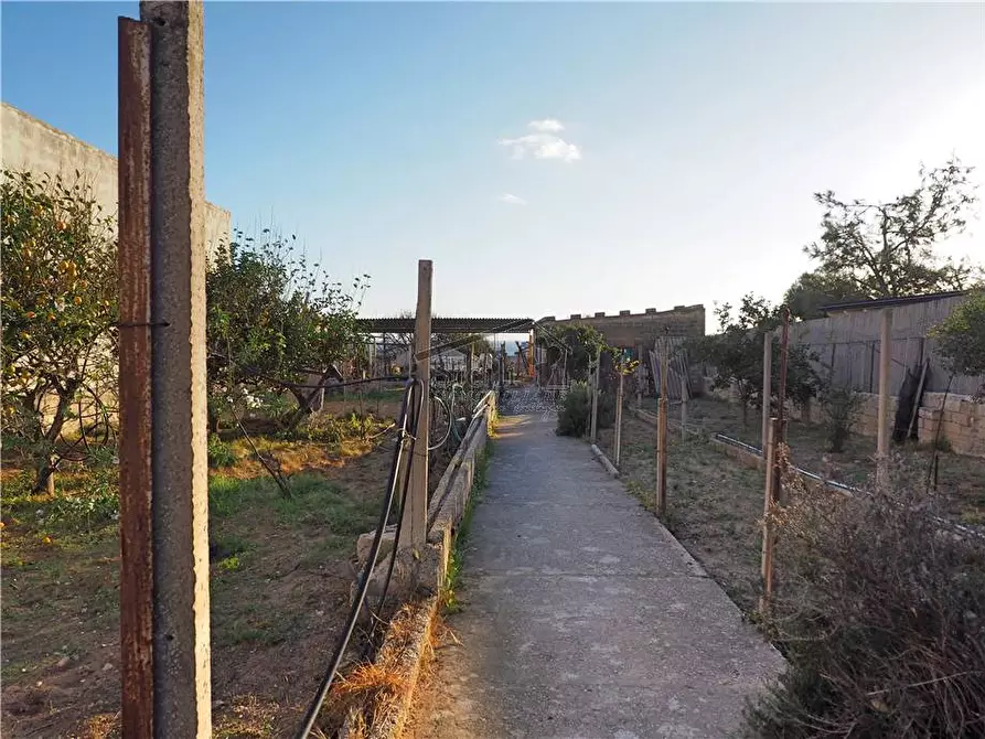 Immagine 5 di Villa in vendita  a Scicli