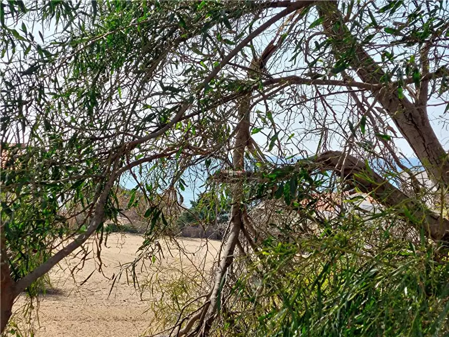 Immagine 10 di Terreno in vendita  a Scicli